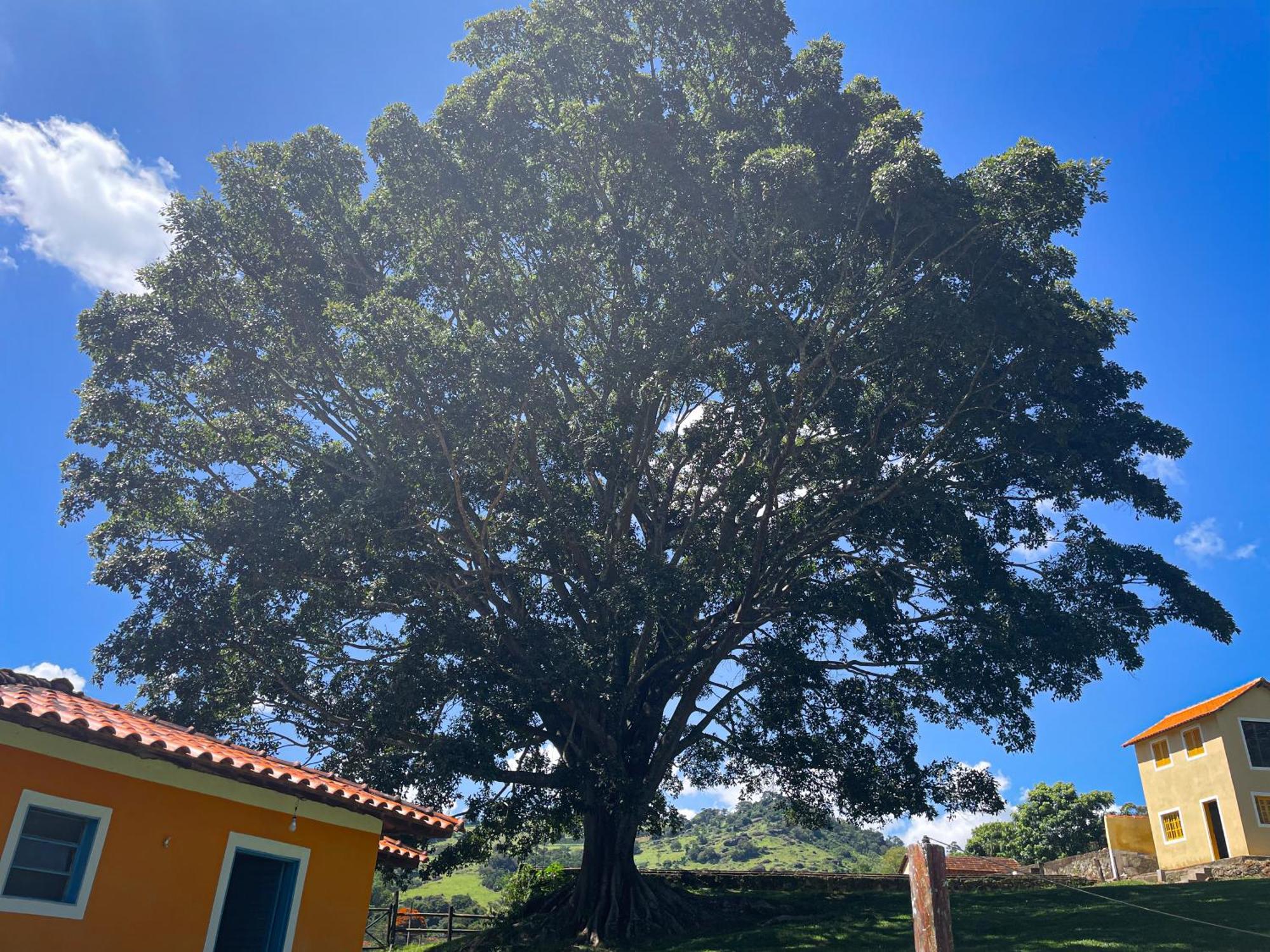 Fortuna Casas De Campo Socorro  Luaran gambar